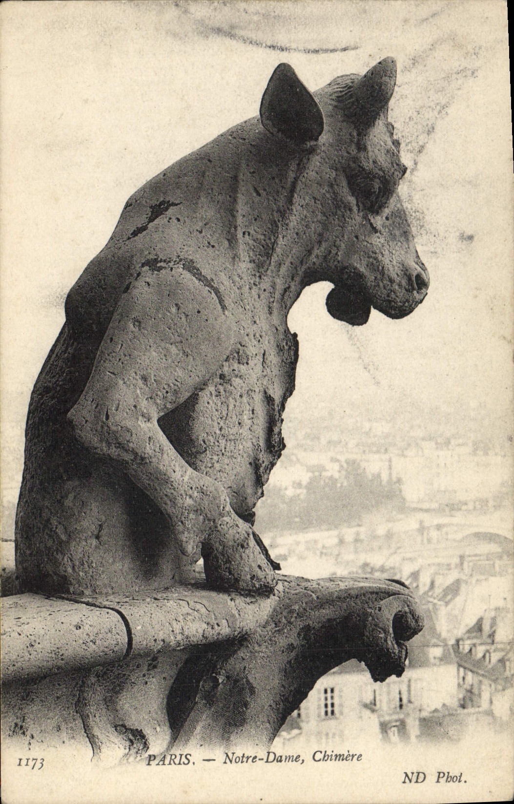 CPA Gargouille Paris Notre Dame Chimere