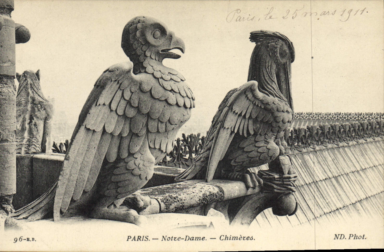 CPA Gargouille Paris Notre Dame Chimeres