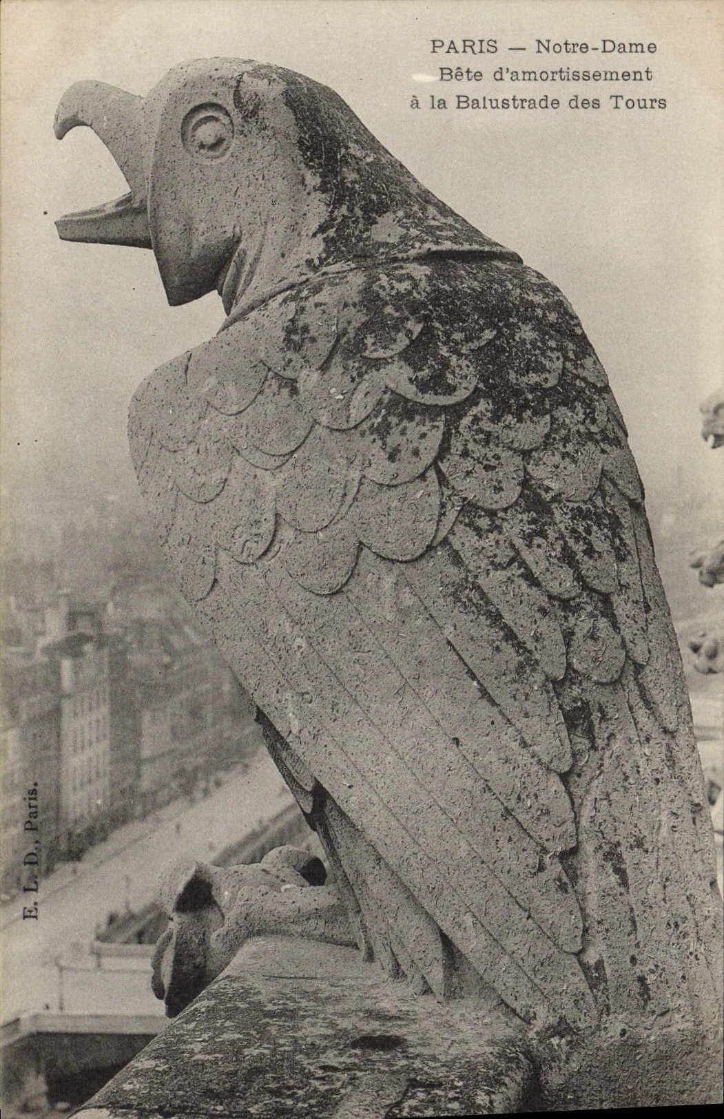 CPA Gargouille Paris Notre Dame Bete d'amortissement a la balustrade des tours