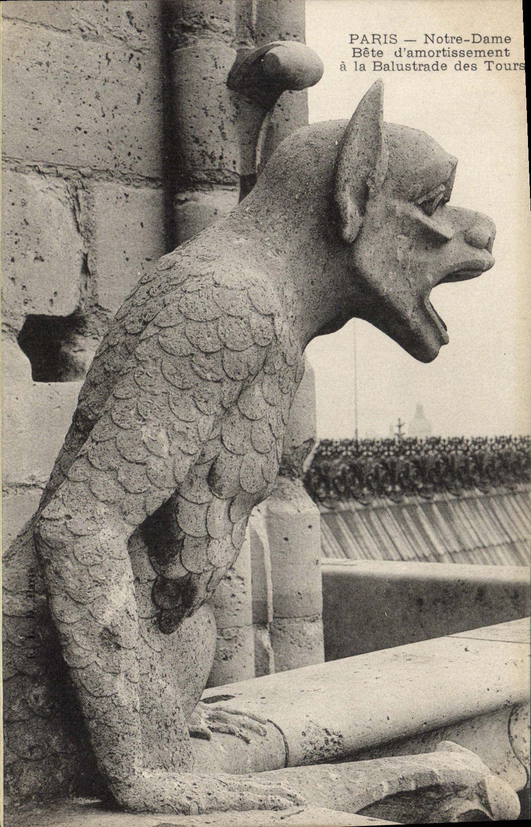 CPA Gargouille Paris Notre Dame Bete d'amortissement a la balustrade des tours