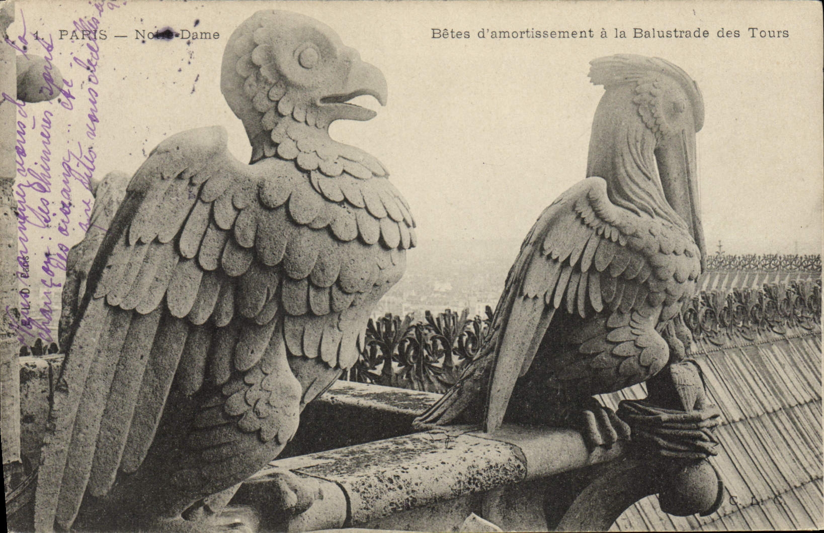 CPA Gargouille Paris Notre Dame Bete d'amortissement a la balustrade des tours