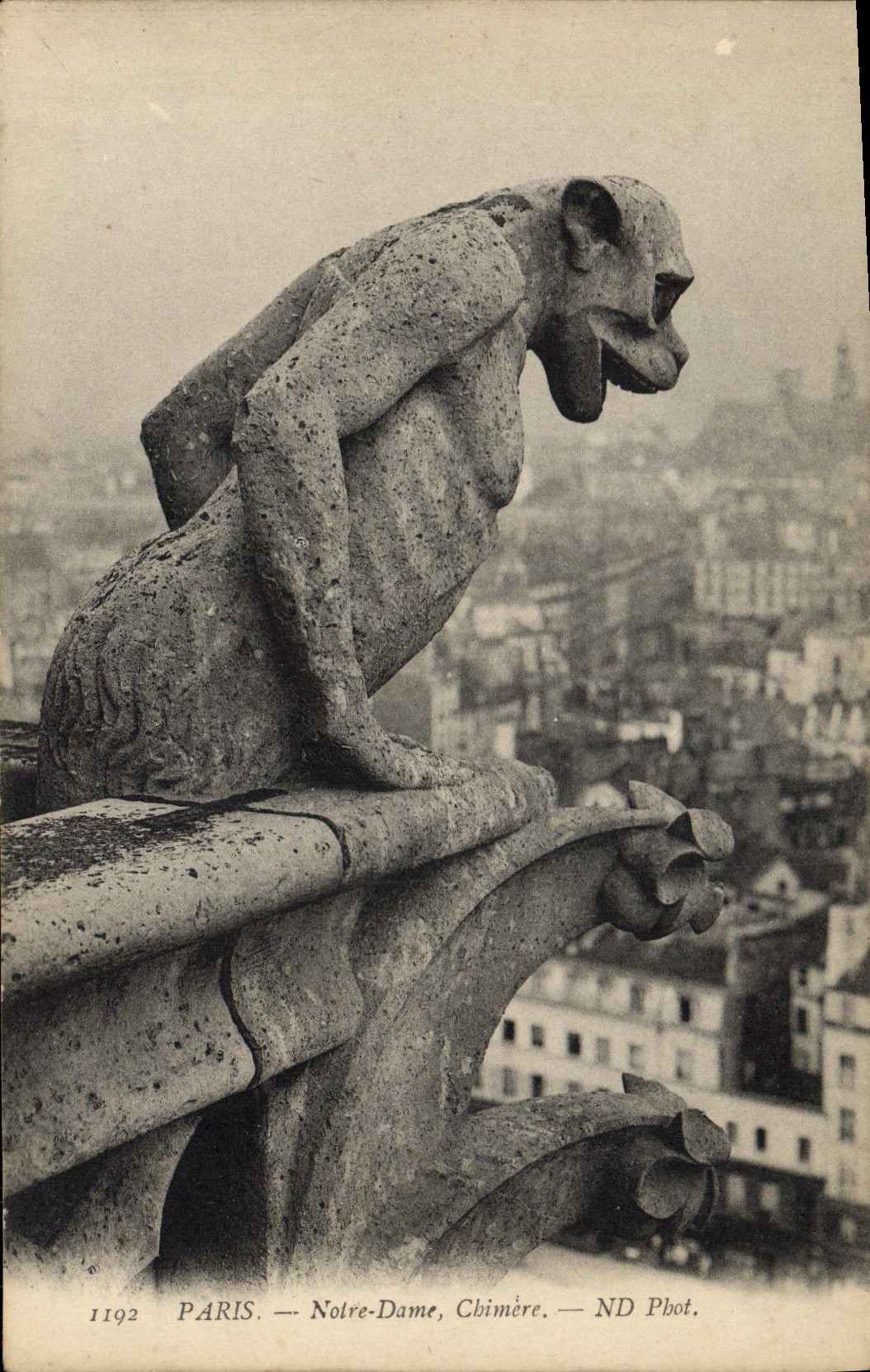 CPA Gargouille Paris Eglise Notre Dame Chimere