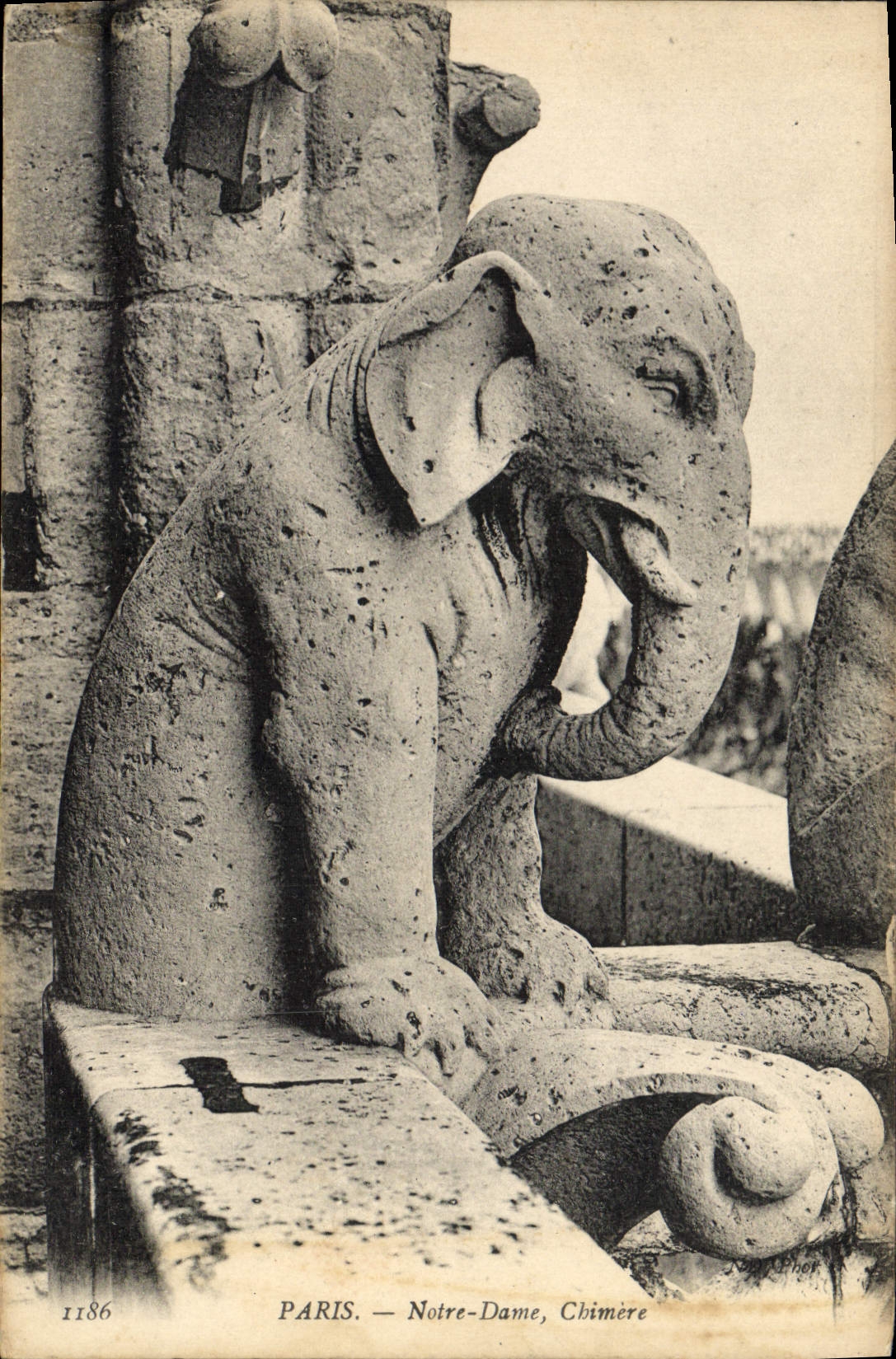 CPA Gargouille Paris Eglise Notre Dame Chimere Elephant