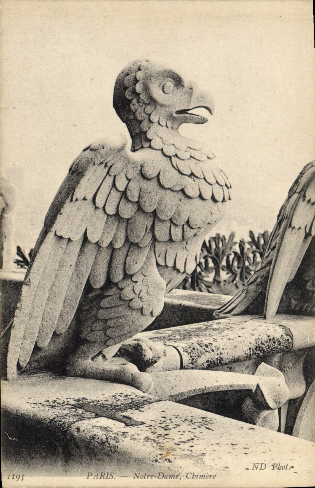 CPA Gargouille Paris Eglise Notre Dame Chimere