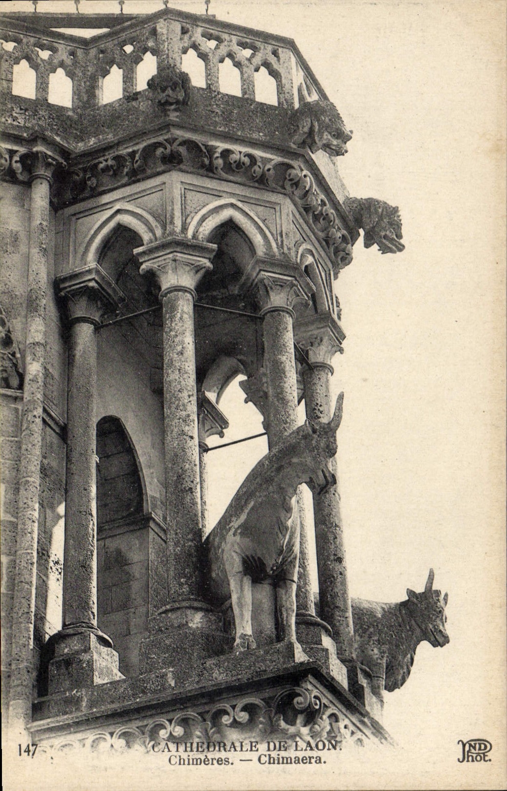 Vintage Postcard Gurgles Cathedral of Laon Chimeres