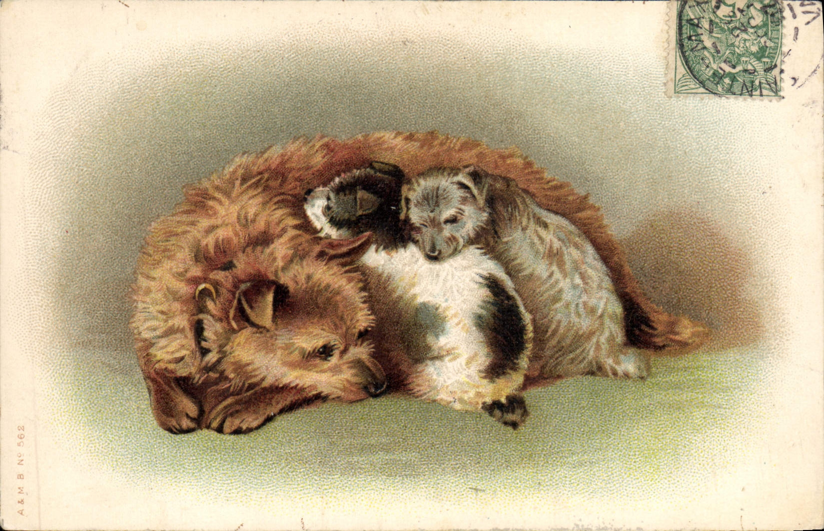 CPA Chien Chiens Chiot 