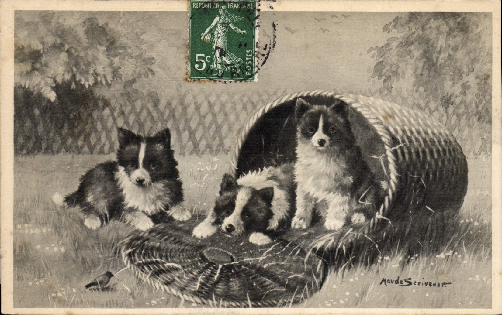 CPA Chien Chiens Chiot 