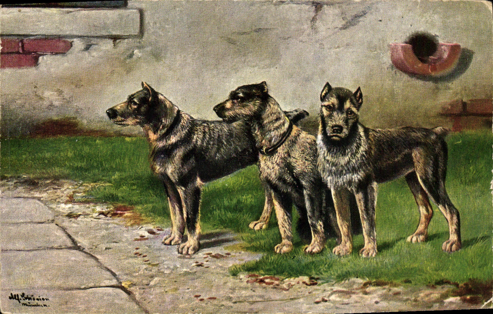 CPA Chien Chiens Chiot 
