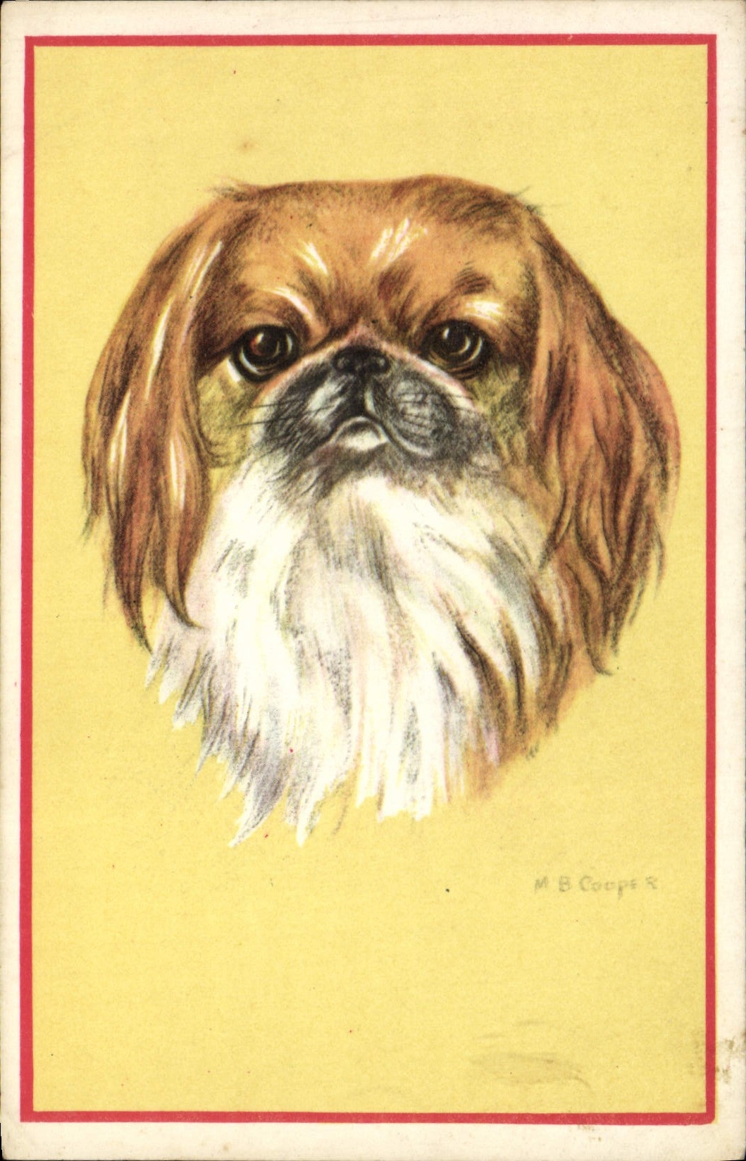 CPA Chien Chiens Chiot 