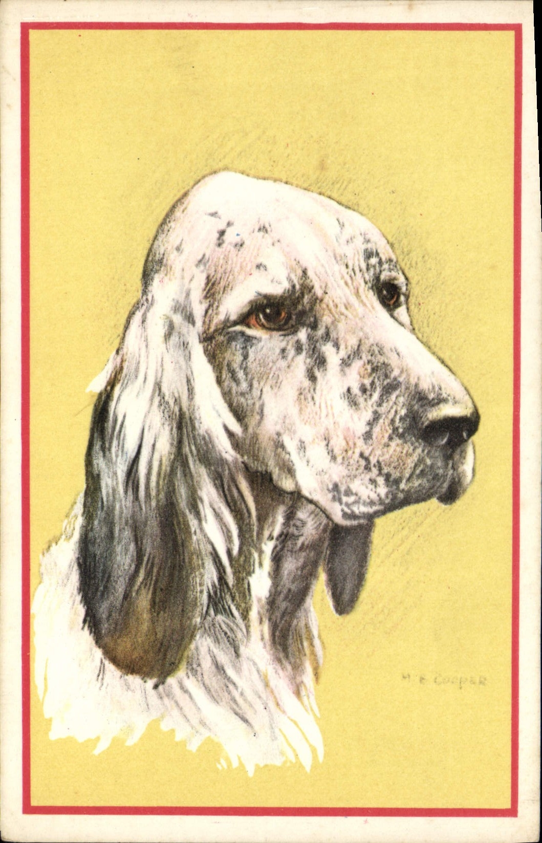 CPA Chien Chiens Chiot 