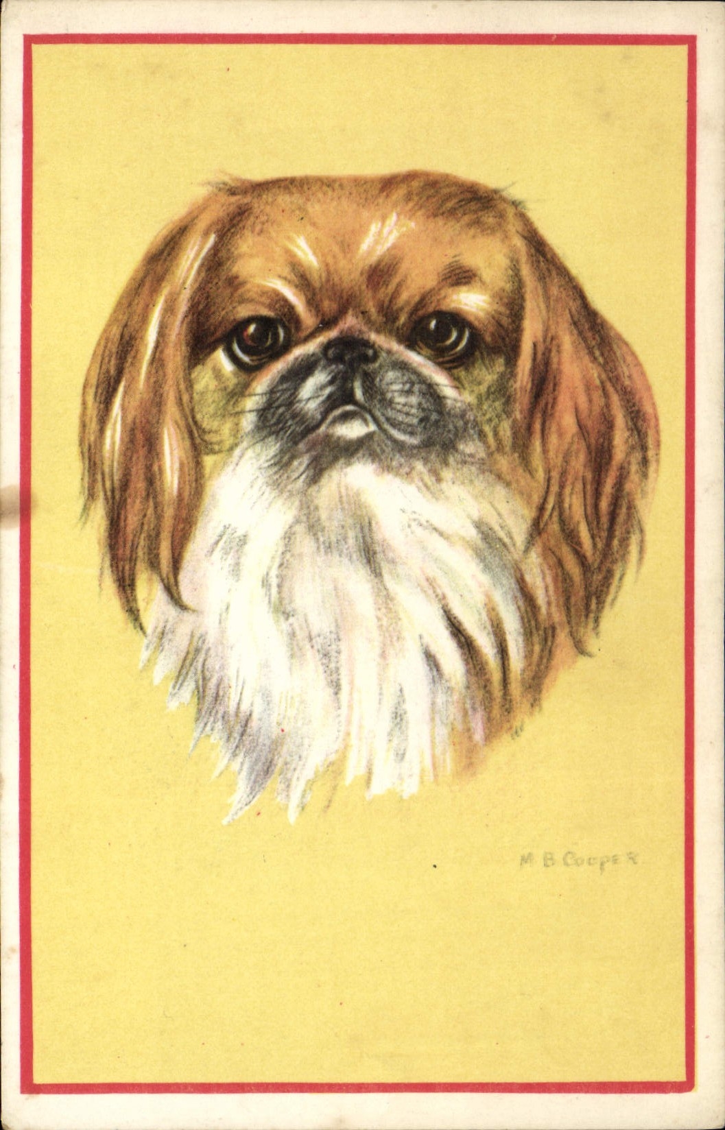 CPA Chien Chiens Chiot 