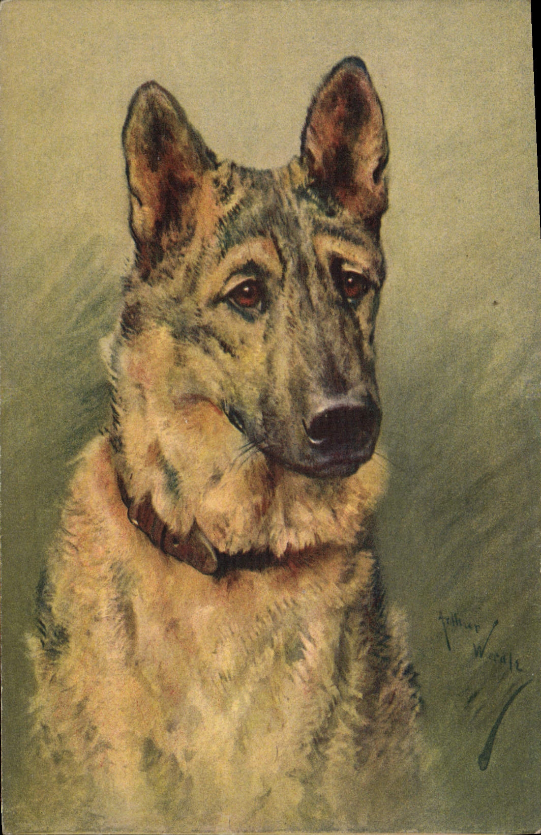 CPA Chien Chiens Chiot 
