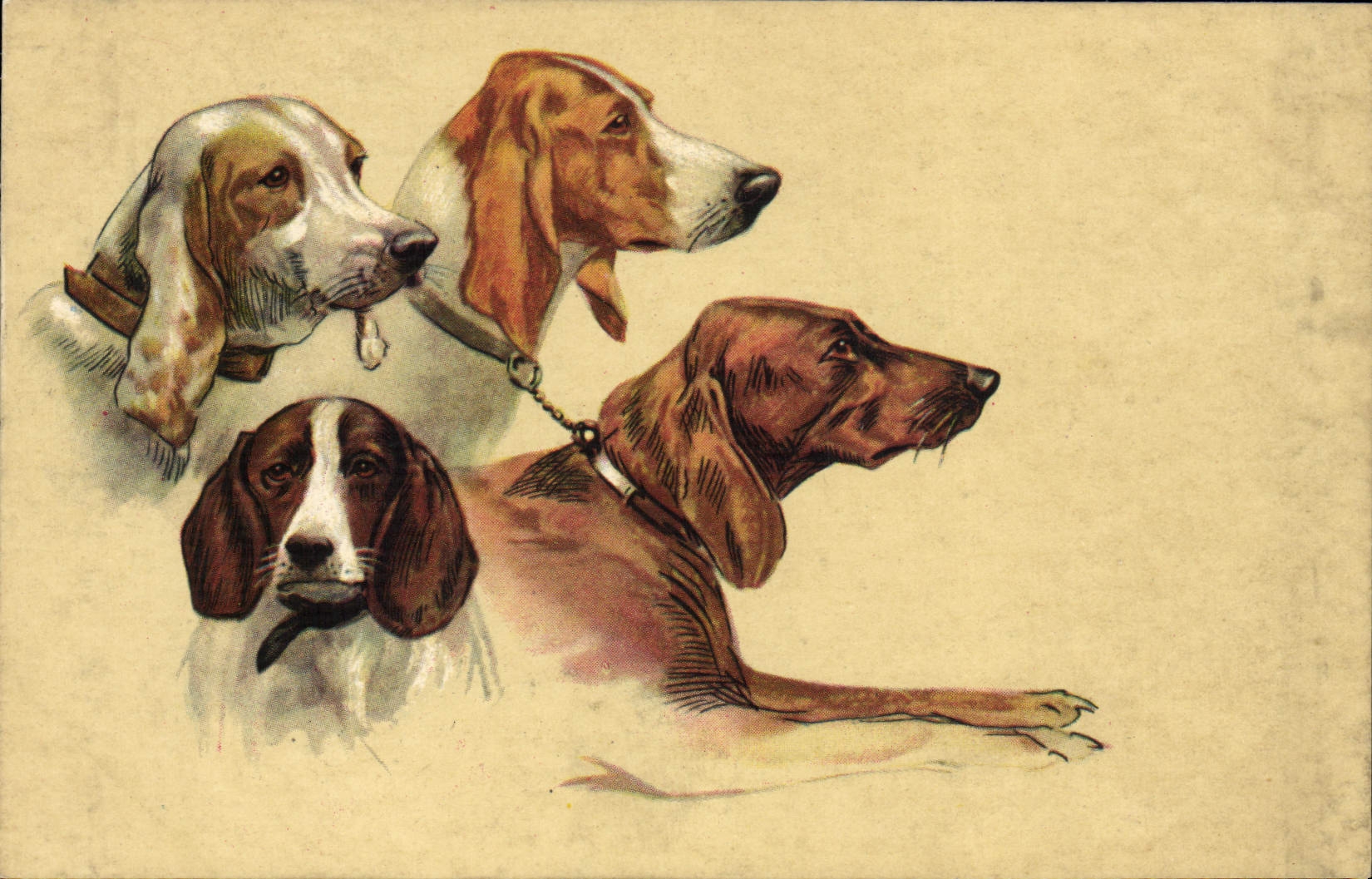 CPA Chien Chiens Chiot 