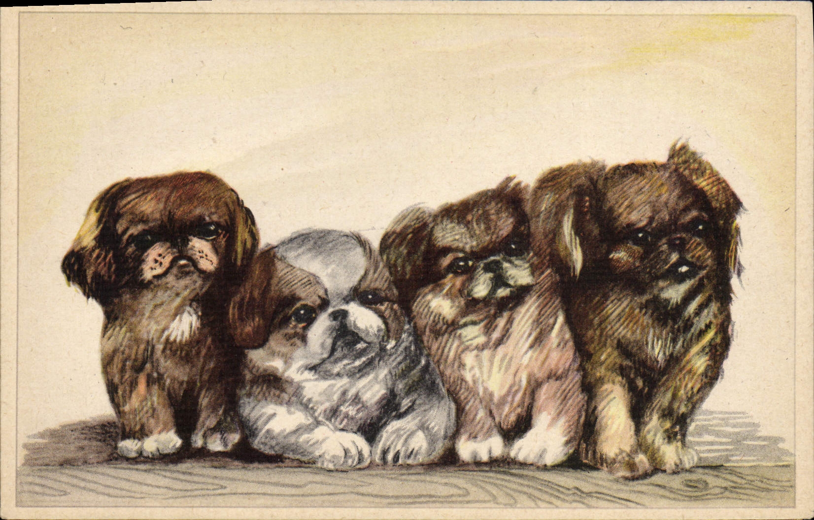 CPA Chien Chiens Chiot 
