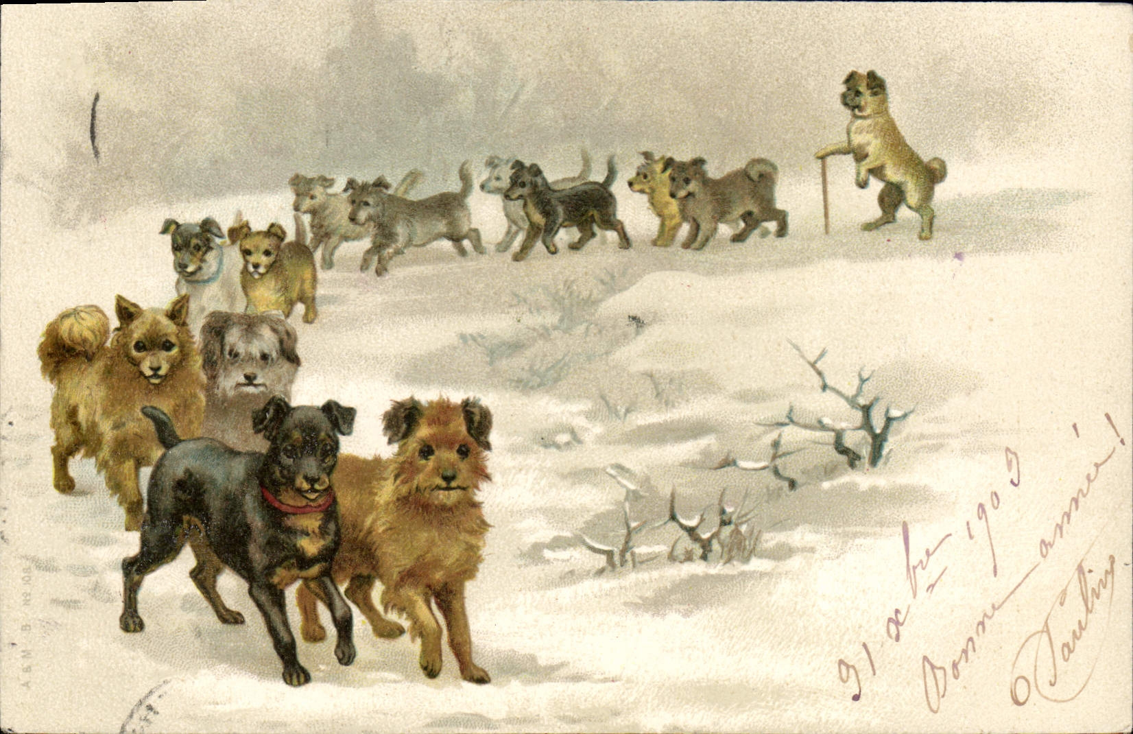 CPA Chien Chiens Chiot 