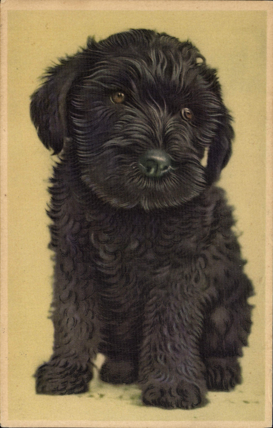 CPA Chien Chiens Chiot 