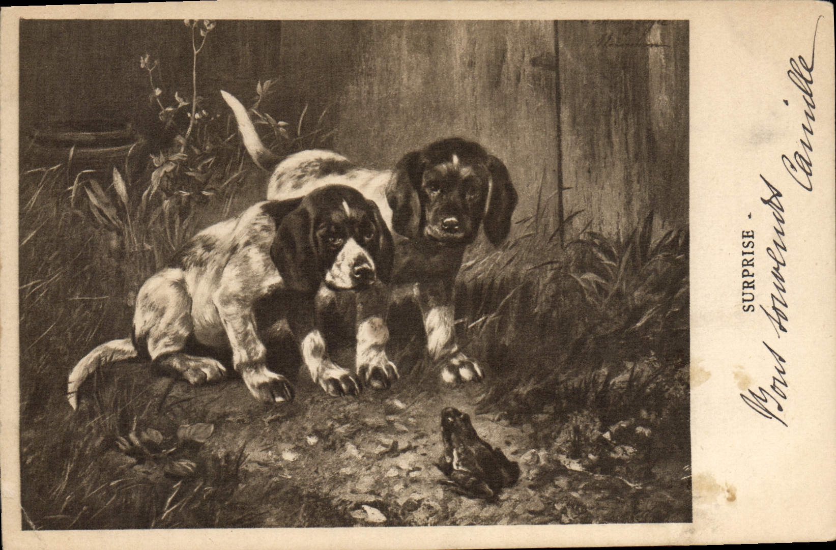 Vintage Postcard Chien Dogs Pup Splashes