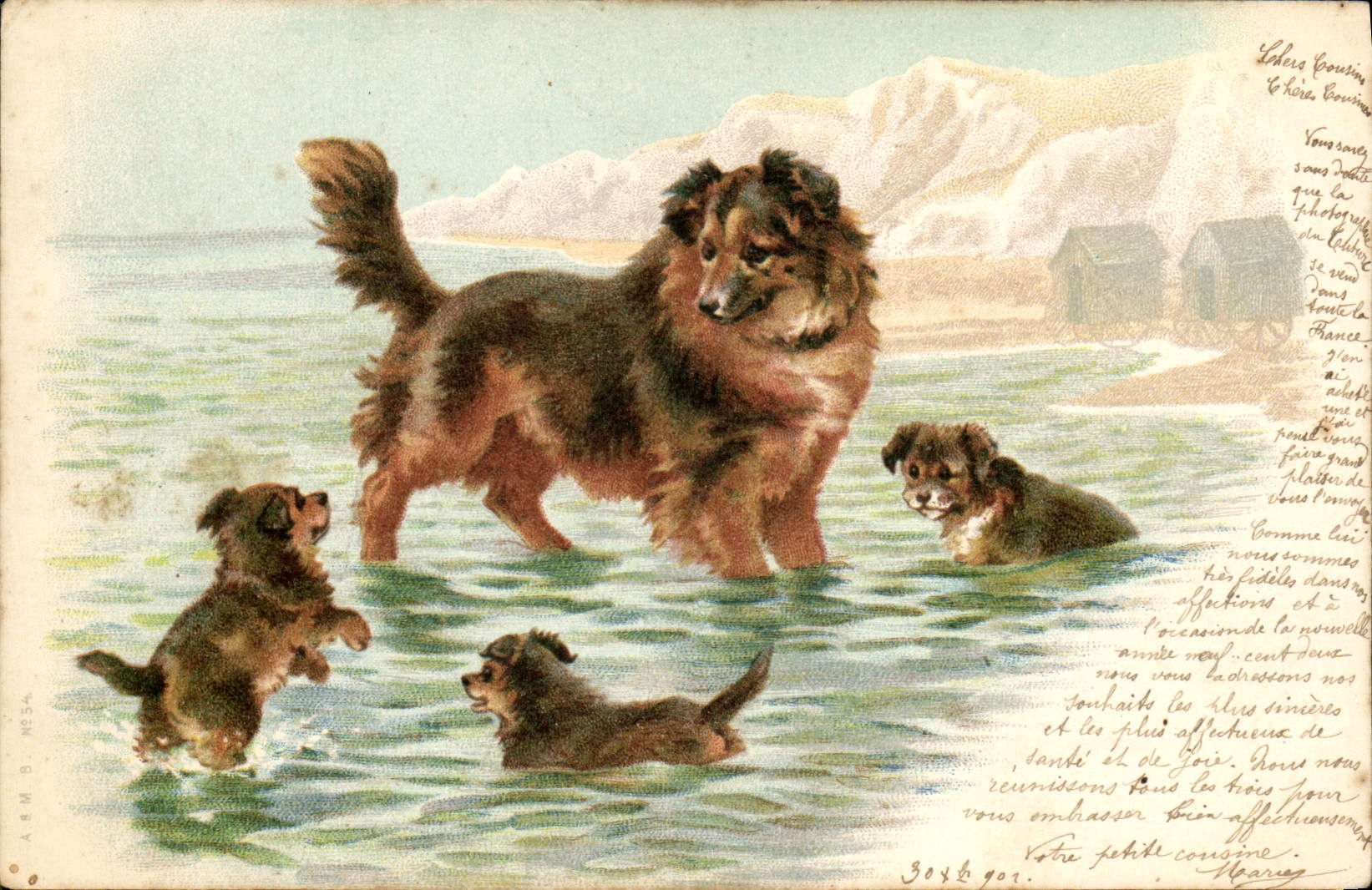 CPA Chien Chiens Chiot 