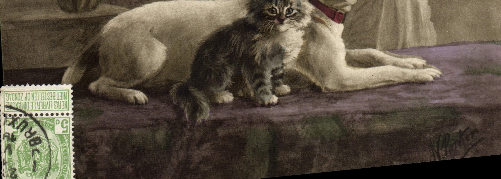 CPA Chien Chiens Chiot Chat Chaton 