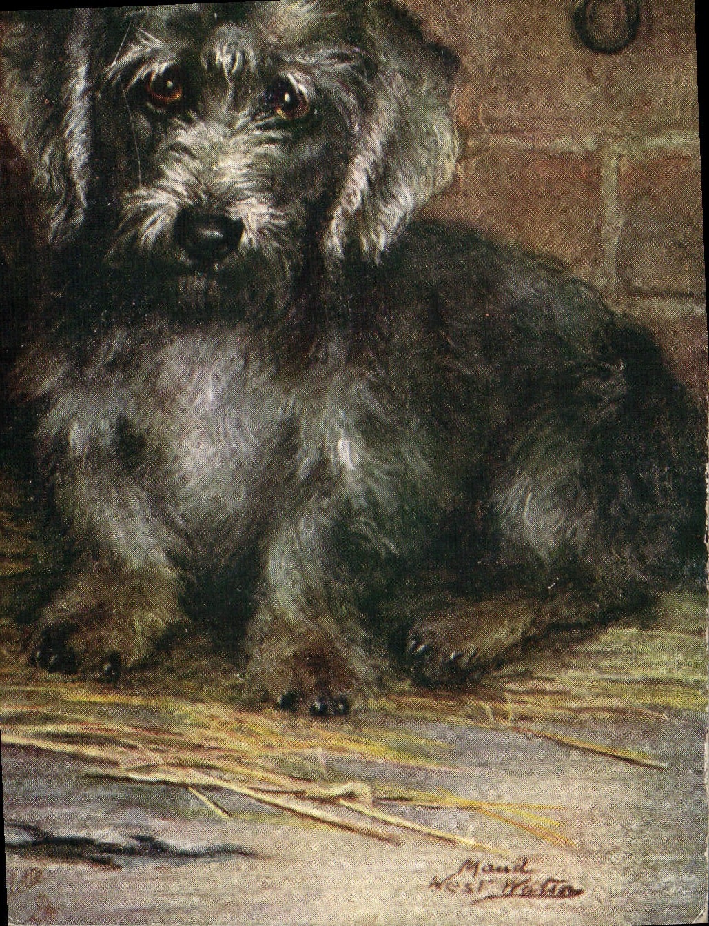 CPA Chien Chiens Chiot 
