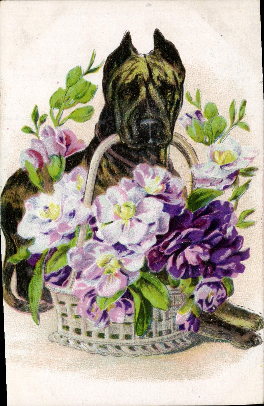 CPA Chien Chiens Chiot Fleurs 
