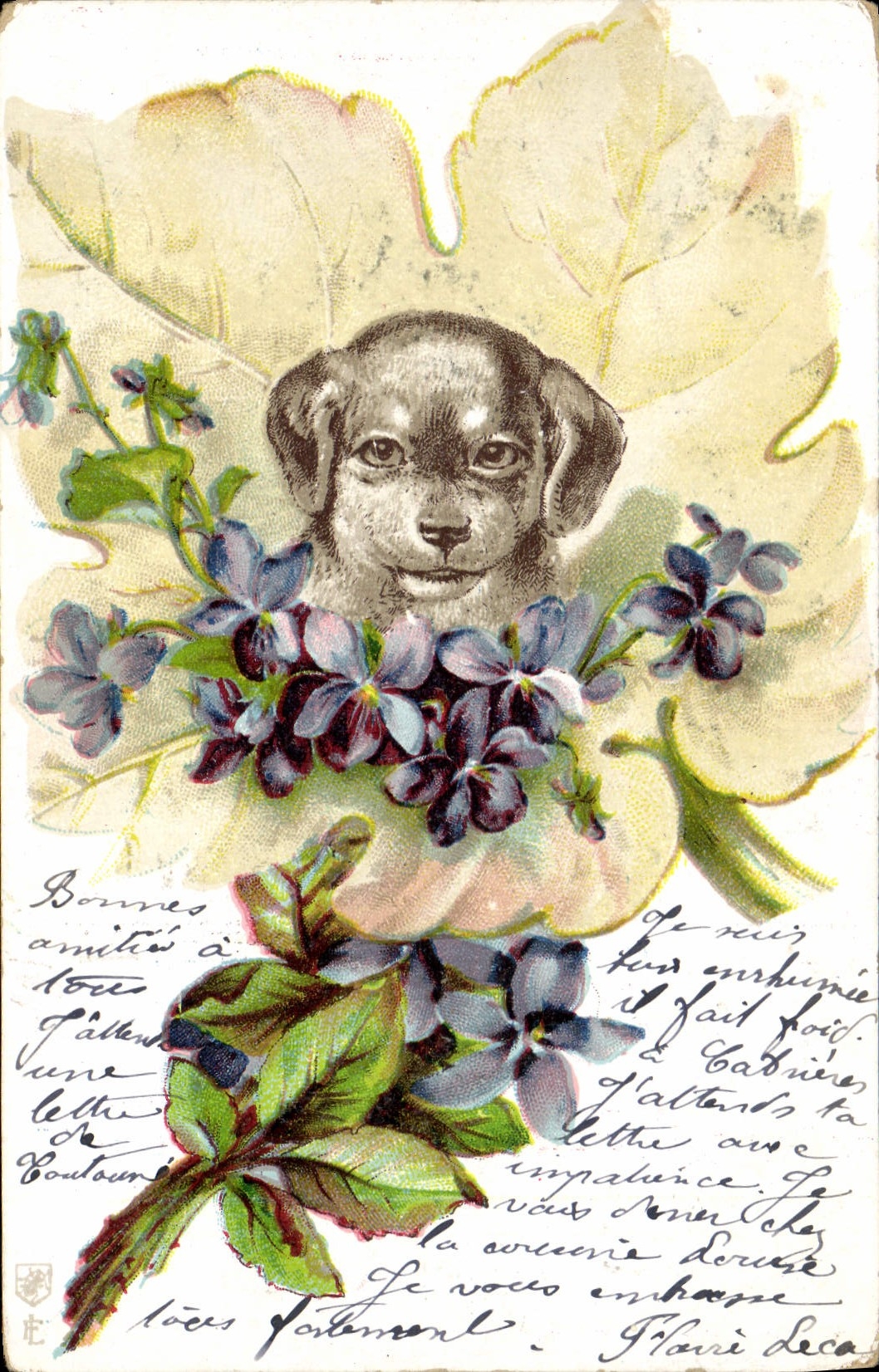 CPA Chien Chiens Chiot Fleurs 
