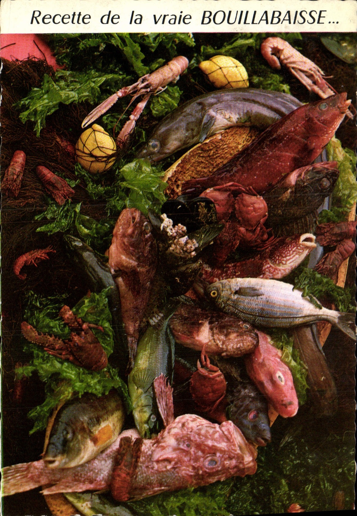CPM Recette de al vraie Bouillabaisse