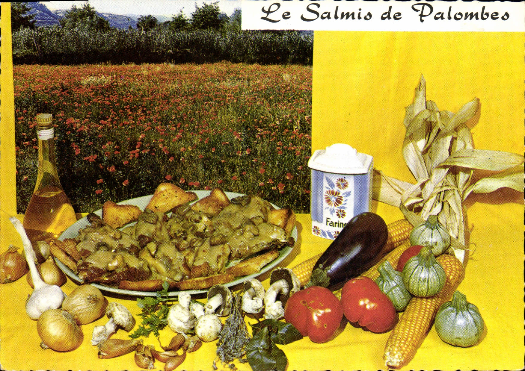 CPM Le Salmis de palombes