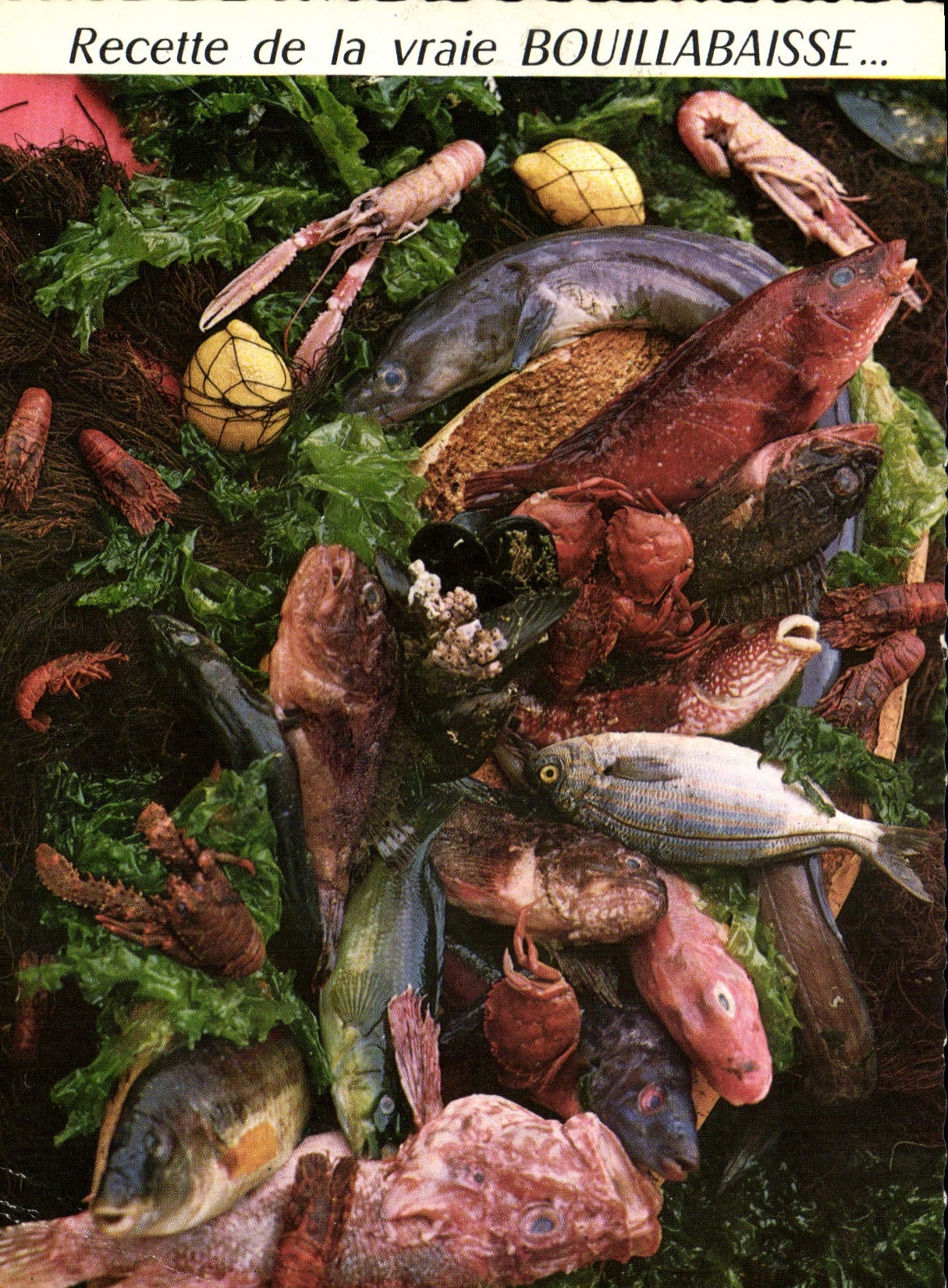CPM Recette de la vraie Bouillabaisse