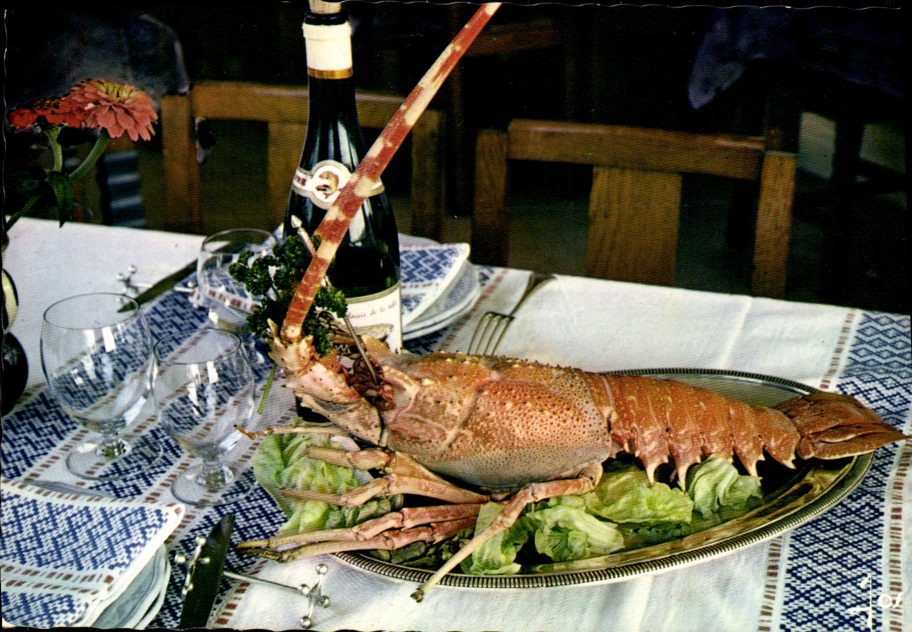 CPM Bretagne Une belle langouste