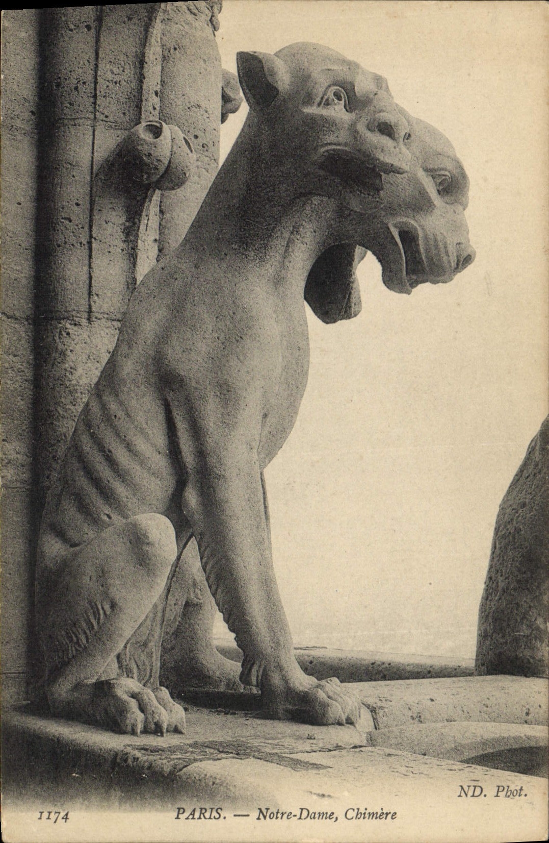 CPA Gargouille Paris Notre Dame Chimere