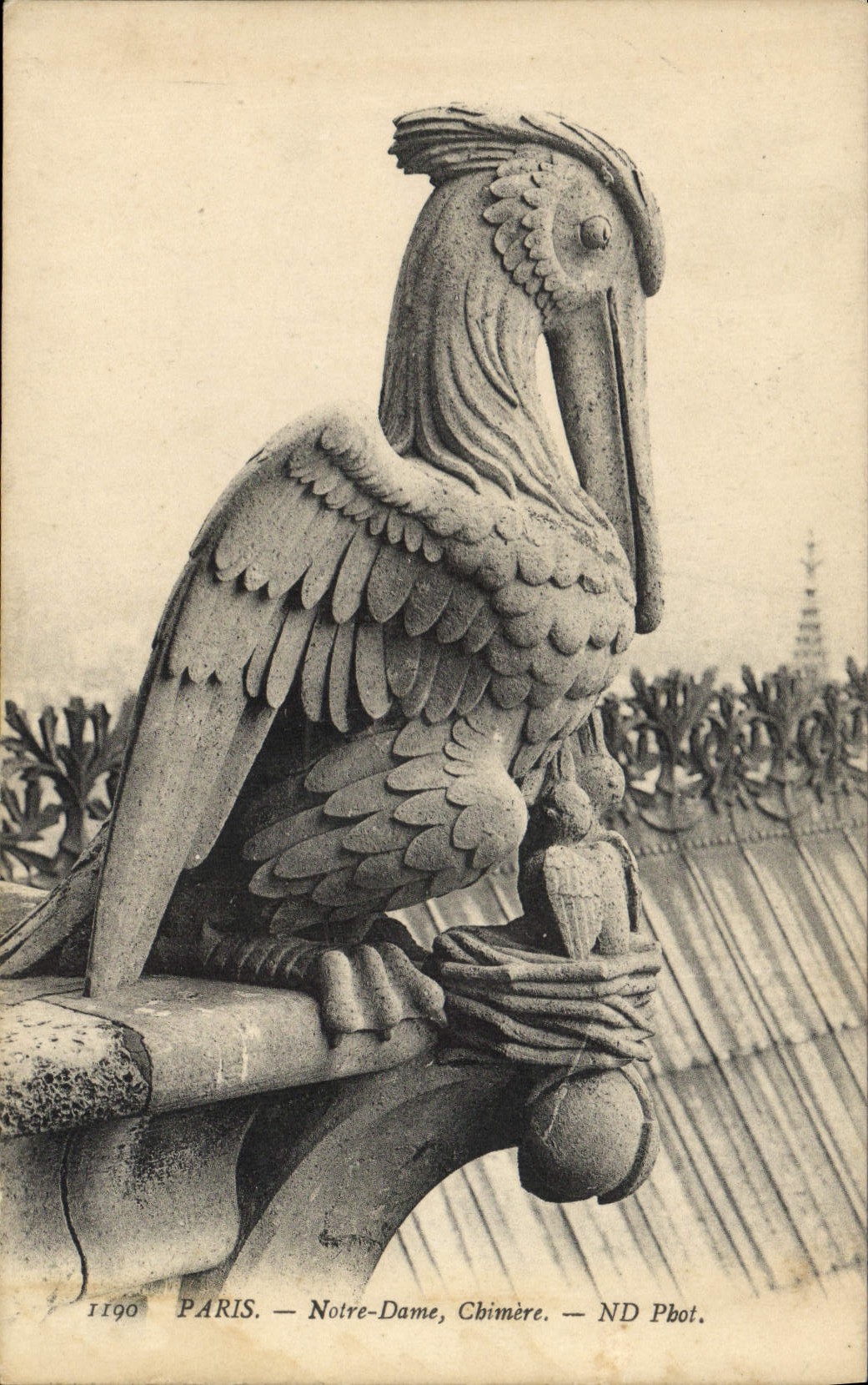 CPA Gargouille Paris Notre Dame Chimere