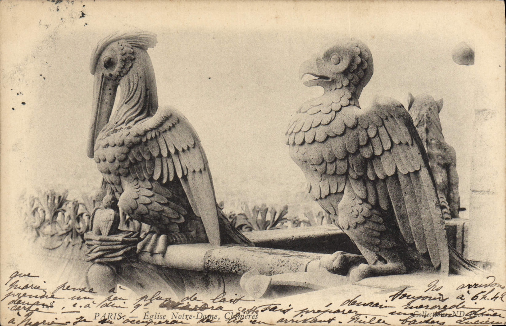 CPA Gargouille Paris Notre Dame Chimeres