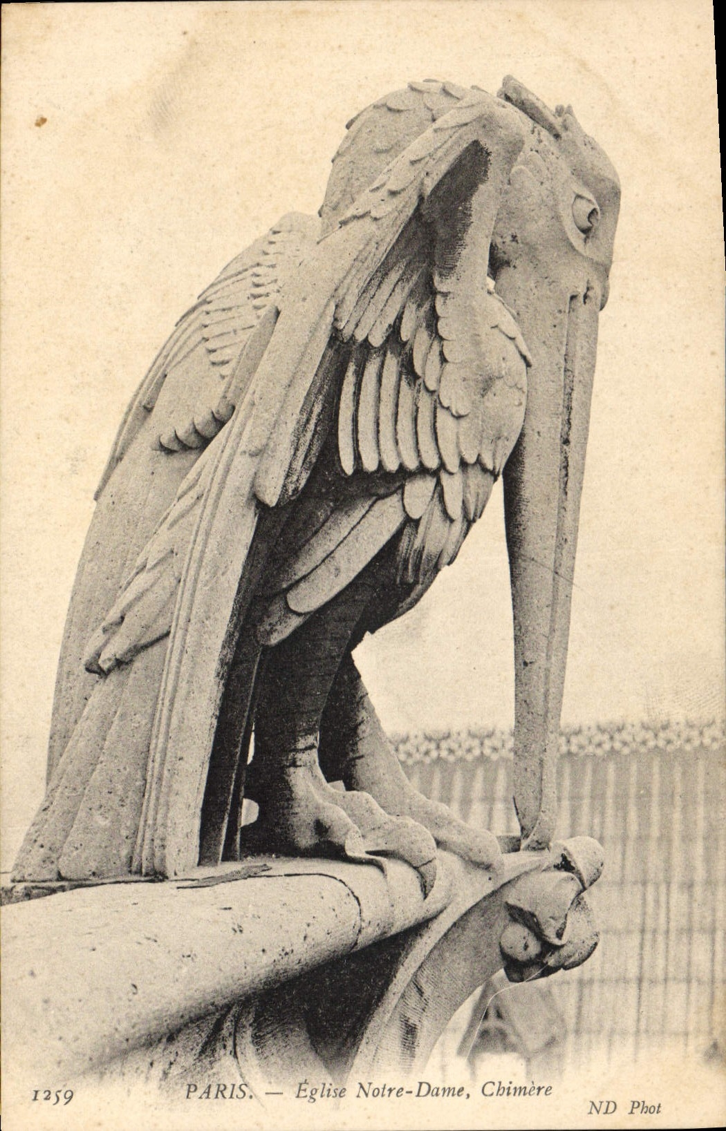 CPA Gargouille Paris Notre Dame Chimere