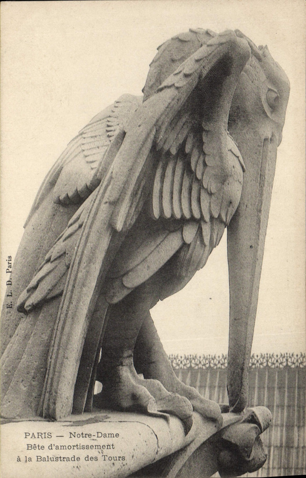 CPA Gargouille Paris Notre Dame Bete d'armortissement a la balustrade des tours