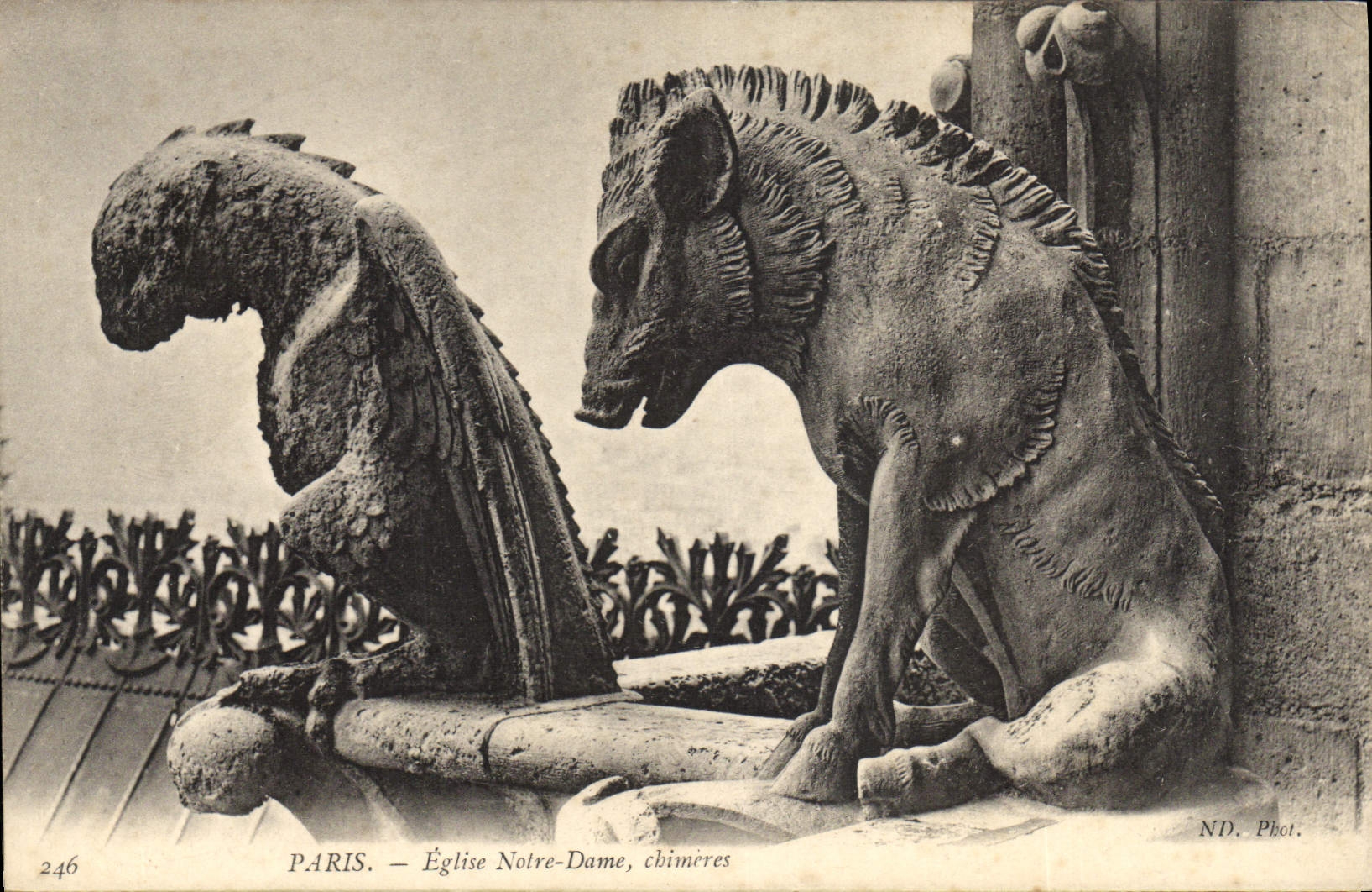 CPA Gargouille Paris Notre Dame Chimeres