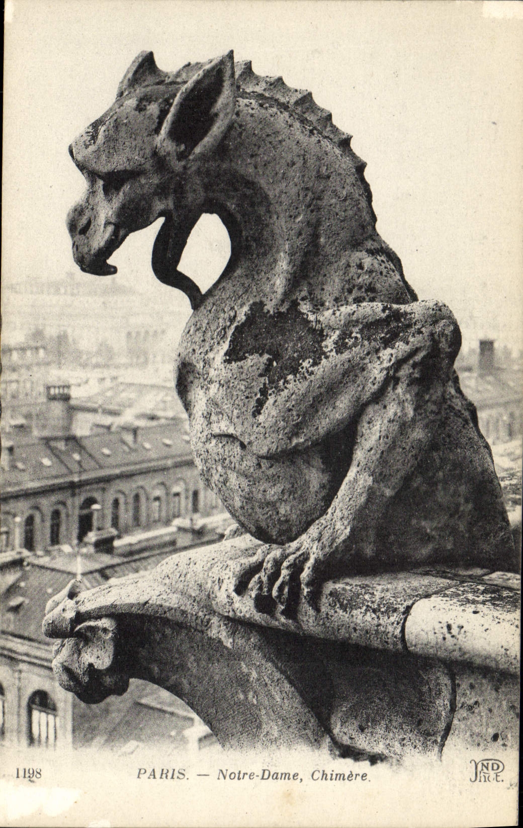 CPA Gargouille Paris Notre Dame Chimere