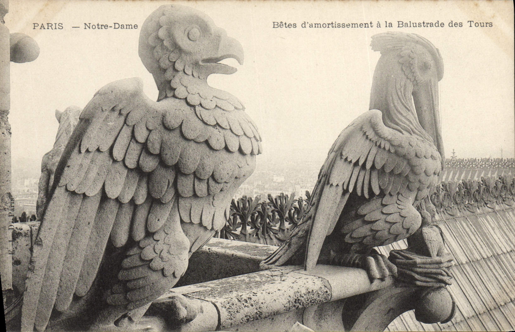 CPA Gargouille Paris Notre Dame Betes d'armortissement a la balustrade des tours
