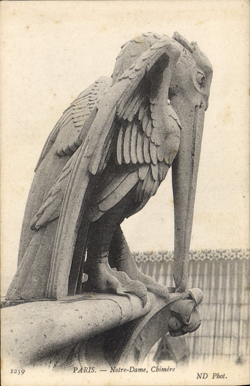 CPA Gargouille Paris Notre Dame Chimere