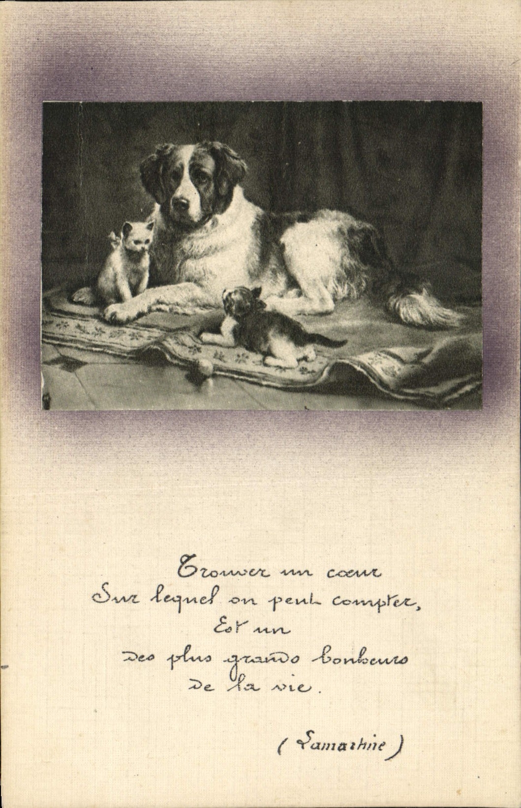 CPA Chien Chients Chiot Chat