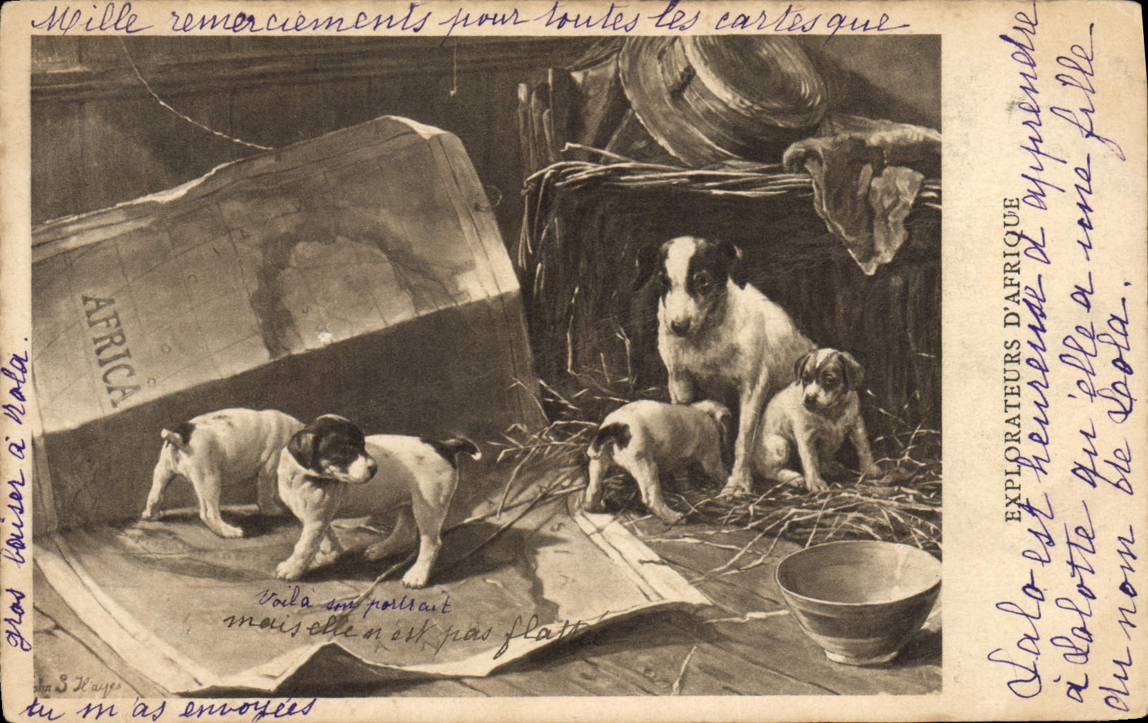 CPA Chien Chients Chiot Explorateurs d'Afrique
