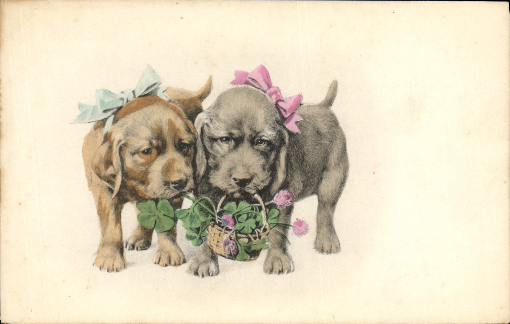 CPA Chien Chients Chiot 
