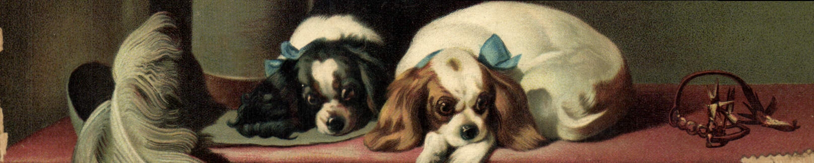 CPA Chien Chients Chiot 