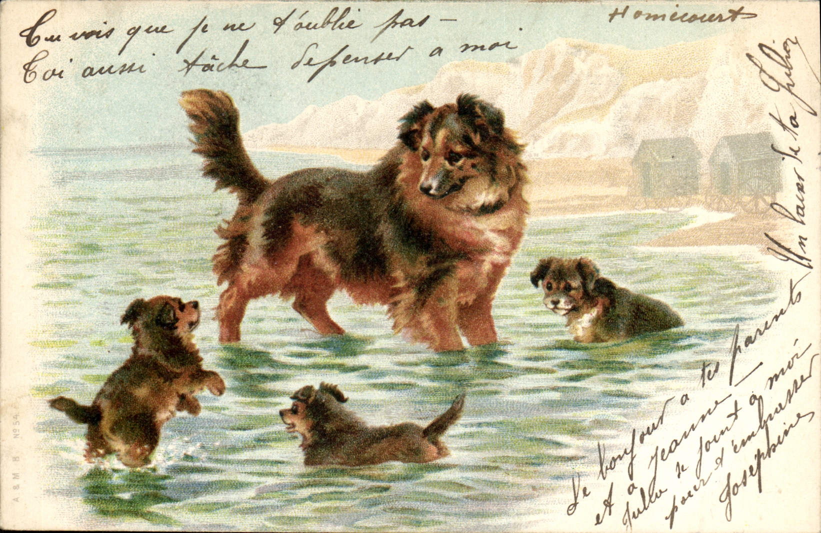CPA Chien Chients Chiot 
