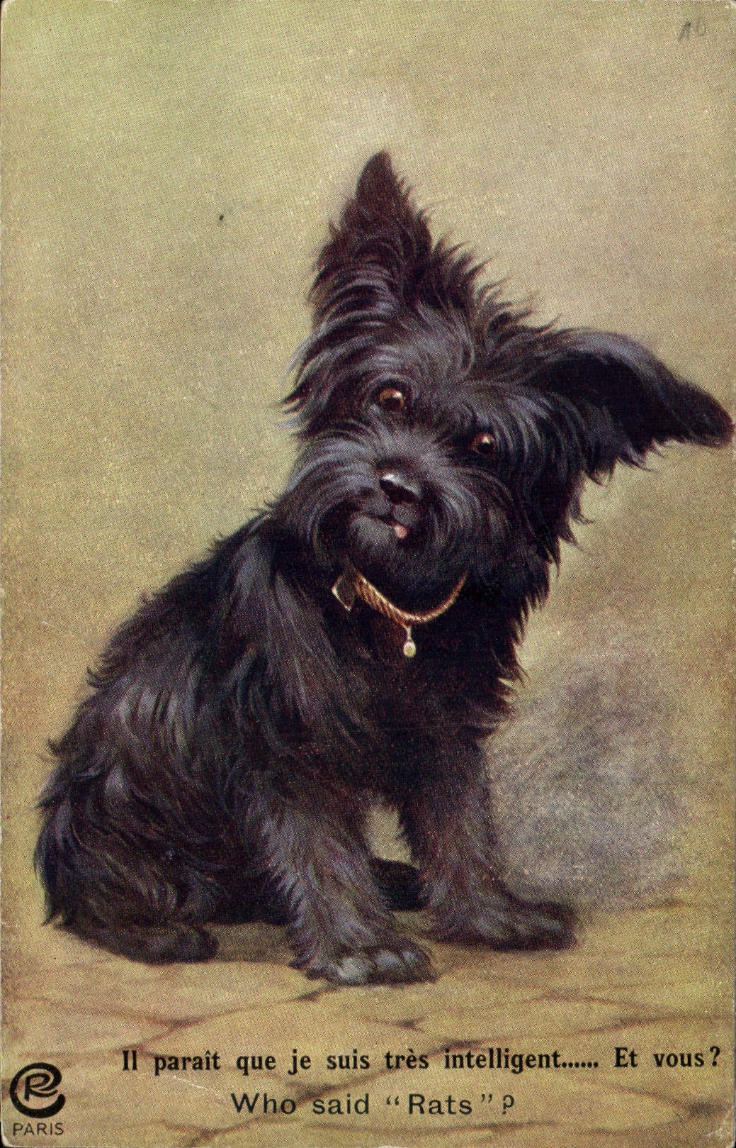 CPA Chien Chients Chiot 