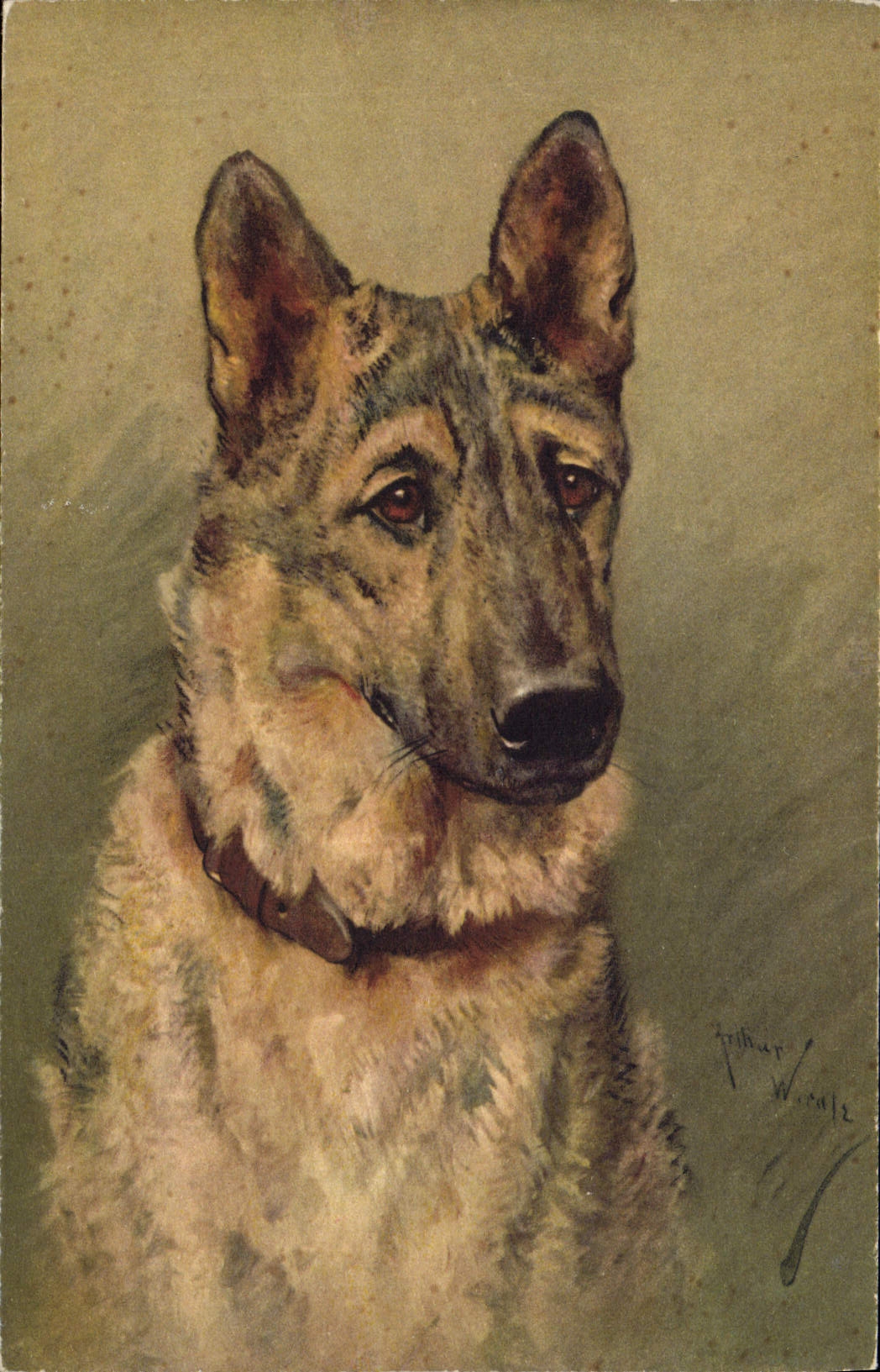 CPA Chien Chients Chiot 