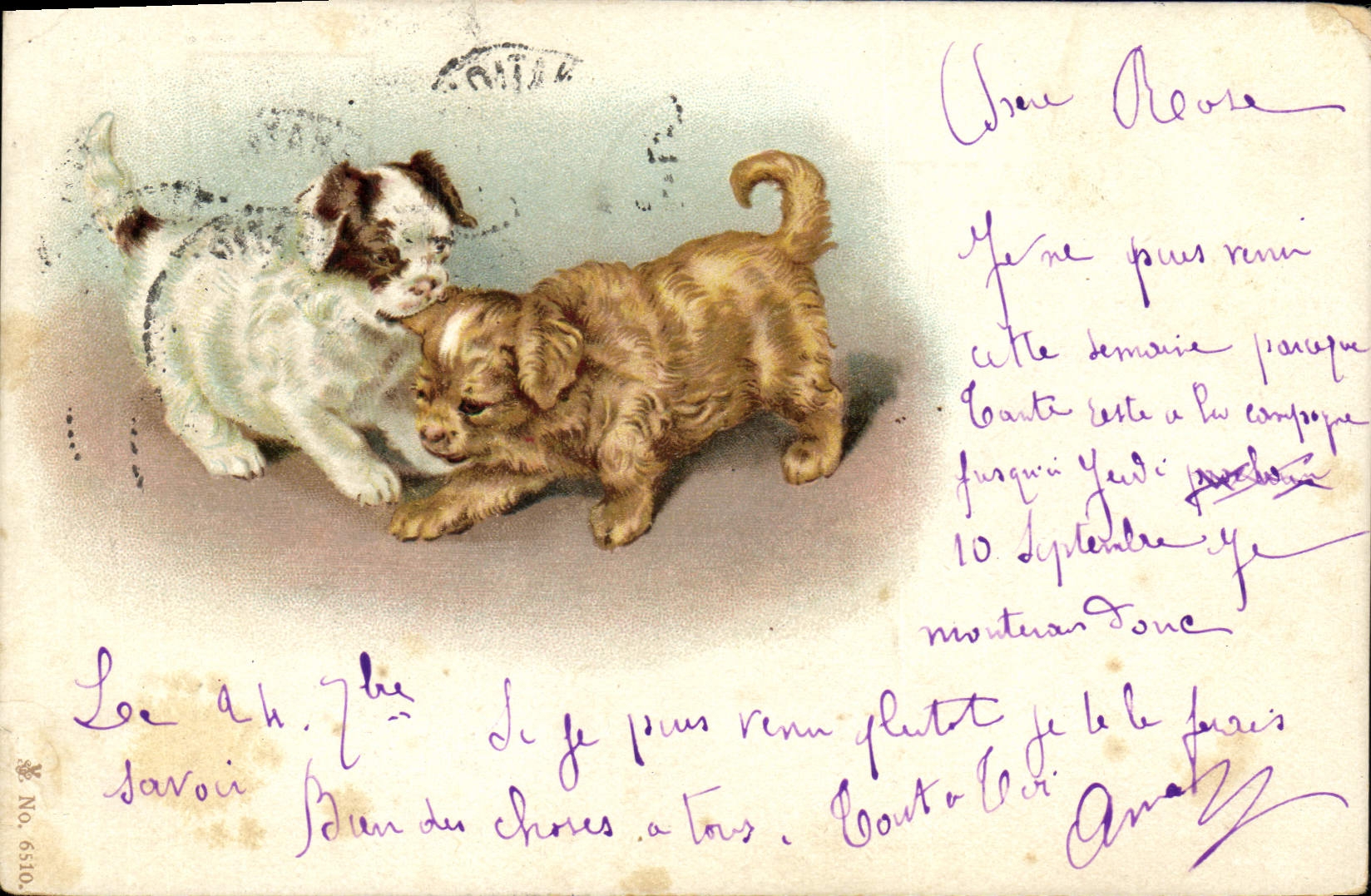 CPA Chien Chients Chiot