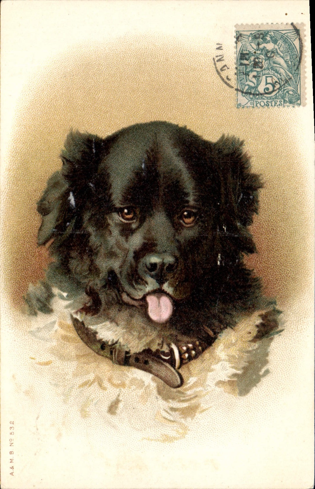 CPA Chien Chients Chiot 