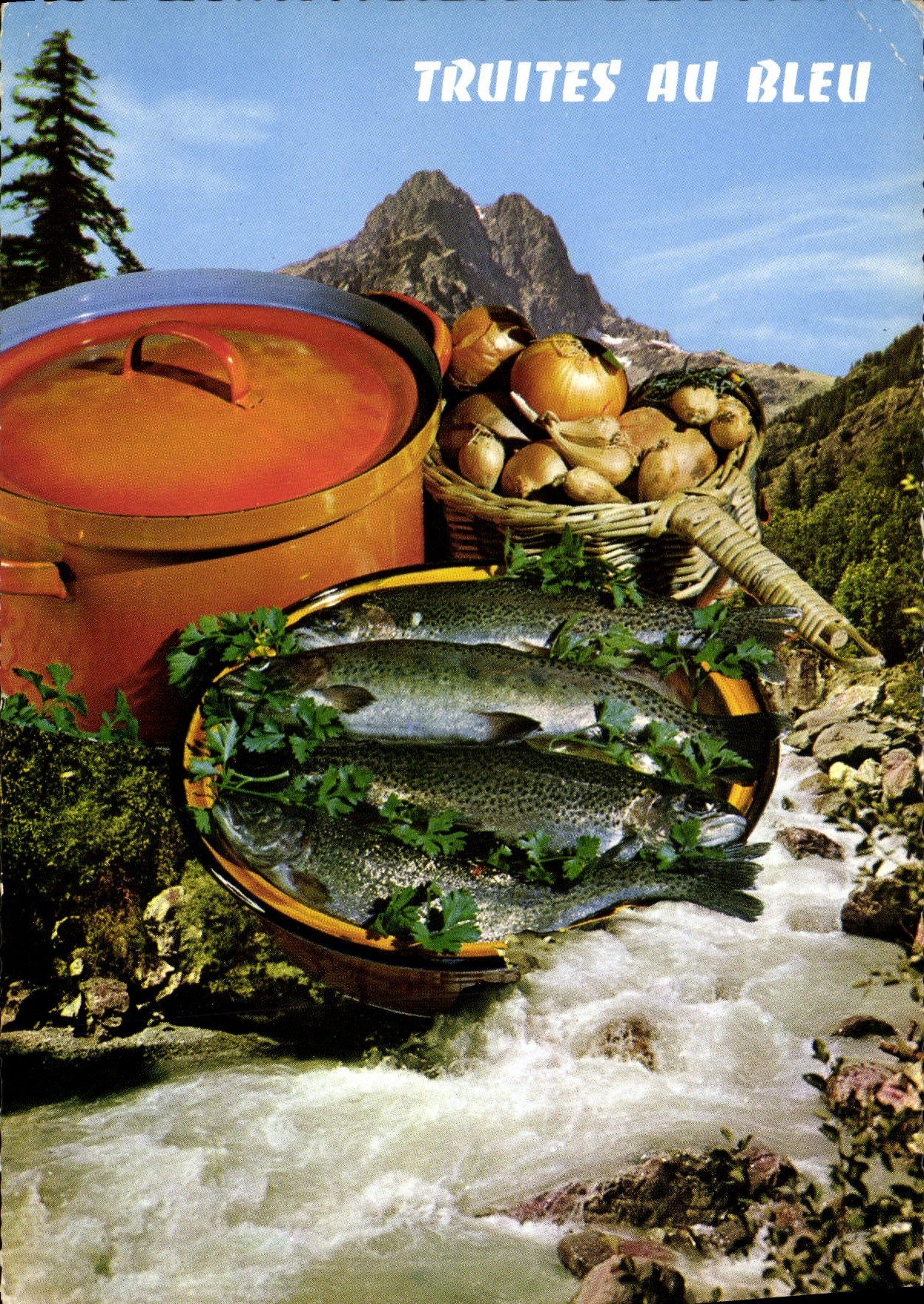 Postal Cocina Truchas al azul