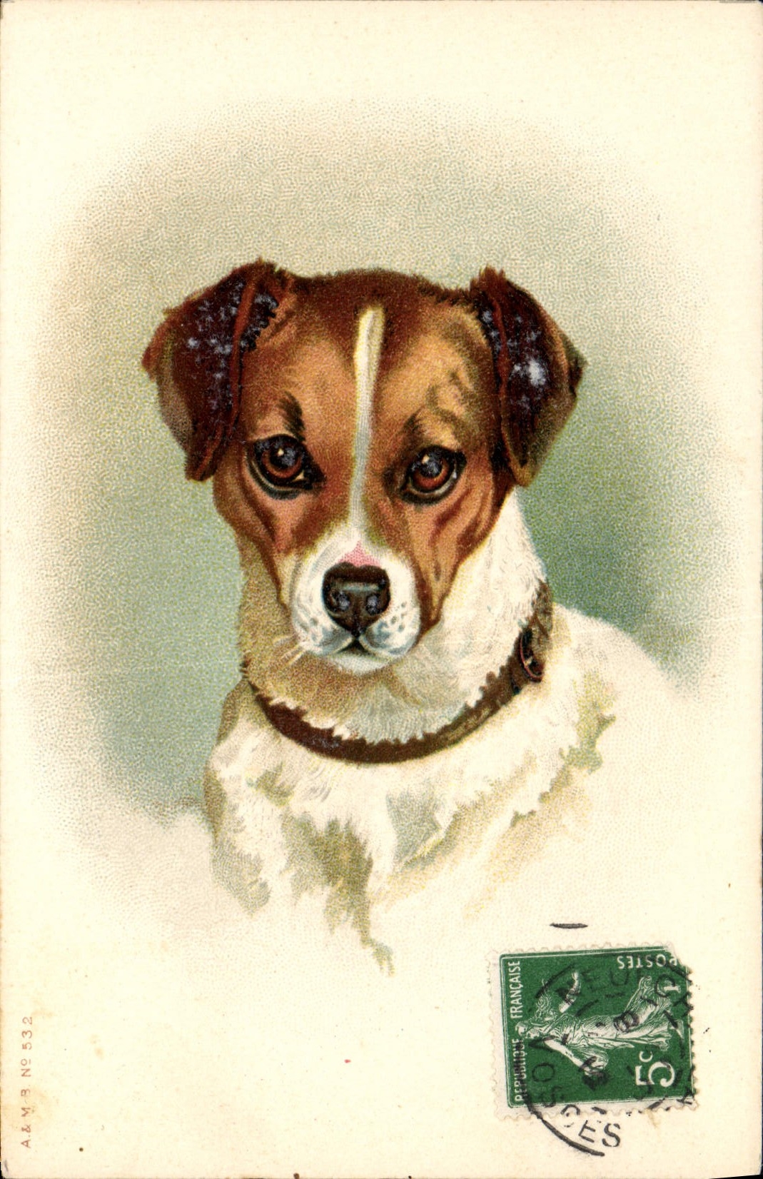 CPA Chien Chiens Chiot 
